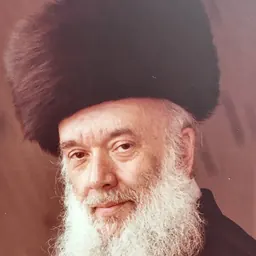 Portrait of Shlomo Zev Zweigenhaft