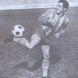 Portrait of Gabriel Raksi
