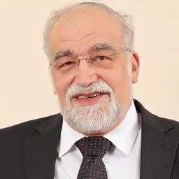 Portrait of David Rotem