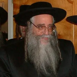 Portrait of Zvi Elimelech Halberstam