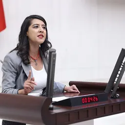 Portrait of Sevda Karaca Demir