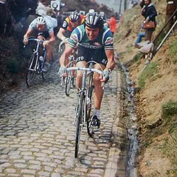 Portrait of Roger De Vlaeminck