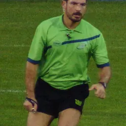 Portrait of Radu Petrescu