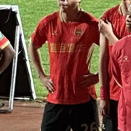 Portrait of Su Shihao