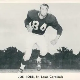 Portrait of Joe Robb