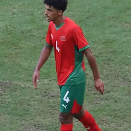 Portrait of Mehdi Boukamir