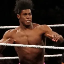 Portrait of Velveteen Dream