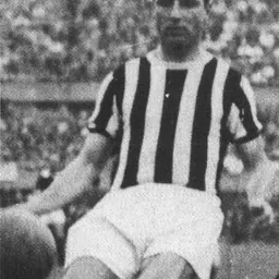 Portrait of Alberto Bertuccelli