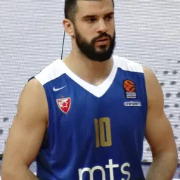 Portrait of Branko Lazić
