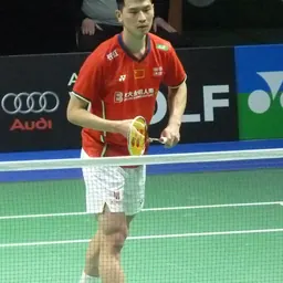 Portrait of Zhao Junpeng