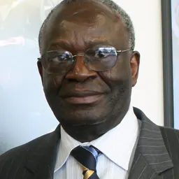Portrait of Ibrahim Gambari