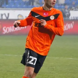 Portrait of Michal Hanek