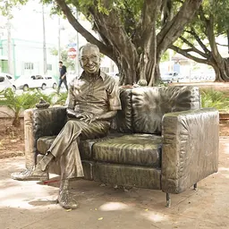 Portrait of Manoel de Barros