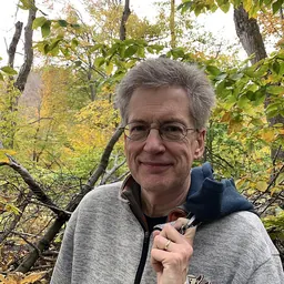 Portrait of Kevin Boyle
