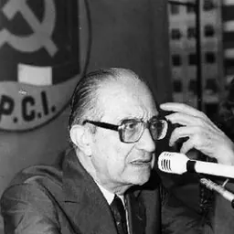 Portrait of Giulio Carlo Argan
