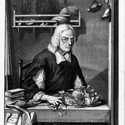 Portrait of Georg Eberhard Rumphius