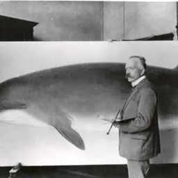 Portrait of Marinus Adrianus Koekkoek II
