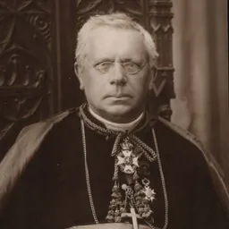 Portrait of Thomas-Louis Heylen