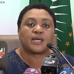 Portrait of Thoko Didiza