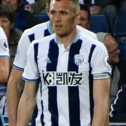 Portrait of Darren Fletcher
