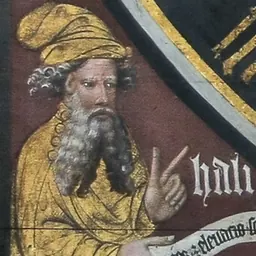 Portrait of Ali ibn Ridwan