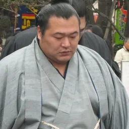 Portrait of Toyonoshima Daiki