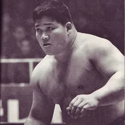 Portrait of Toyonobori