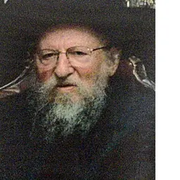 Portrait of Naftali Halberstam