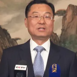 Portrait of Xie Feng