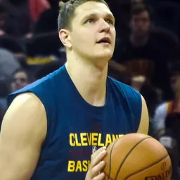 Portrait of Timofey Mozgov