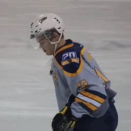Portrait of Alex DeBrincat