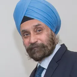 Portrait of Navtej Sarna