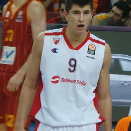 Portrait of Luka Mitrović