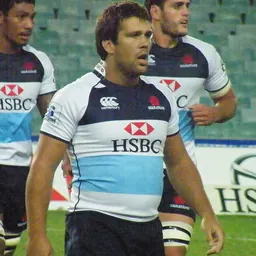 Portrait of Chris Alcock