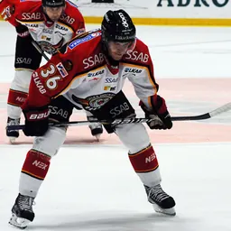Portrait of Niklas Fogström