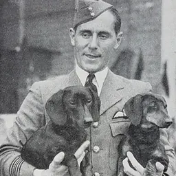 Portrait of Francis Ronald Swain