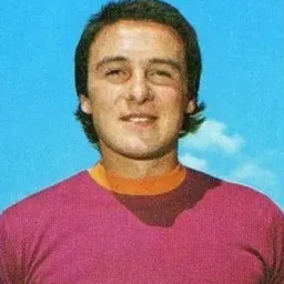 Portrait of Piergiorgio Negrisolo