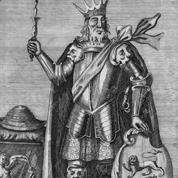 Portrait of Brian Boru