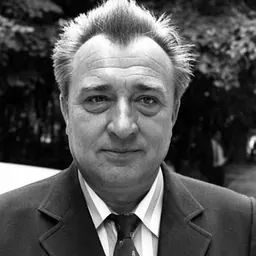 Portrait of Valentin Stănescu