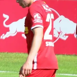 Portrait of Daniel Svensson