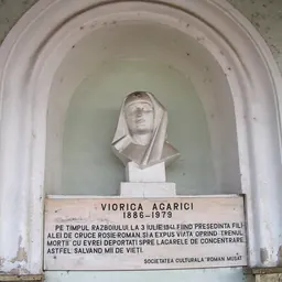 Portrait of Viorica Agarici
