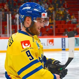 Portrait of Niclas Andersén