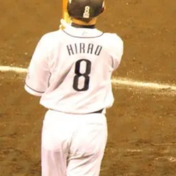 Portrait of Hiroshi Hirao