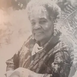 Portrait of Urania P. Cummings