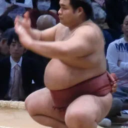 Portrait of Takayasu Akira