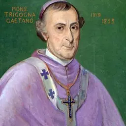 Portrait of Gaetano Maria Giuseppe Benedetto Placido Vincenzo Trigona and Parisi