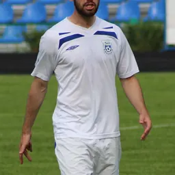 Portrait of Oleksandr Tolstyak