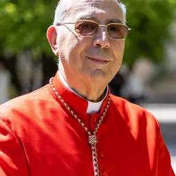 Portrait of Dominique Mamberti