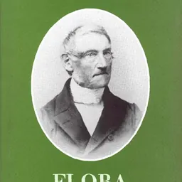 Portrait of Georg Ernst Ludwig Hampe