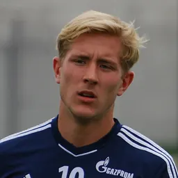 Portrait of Lewis Holtby